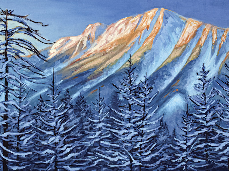 2024 Kootenay Boundary Calendar Artwork - Winter Lace on Cedars - Melanie MacVoy